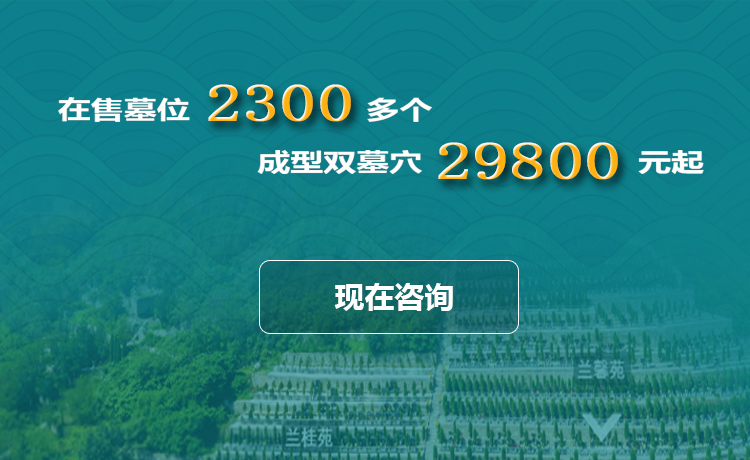 2022.7.12手機(jī)網(wǎng)站.jpg